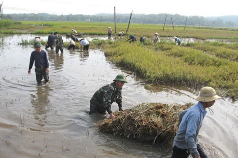 Biến đổi khí hậu không những làm lượng lương thực giảm sút mà còn gây khó khăn cho việc vận chuyển.